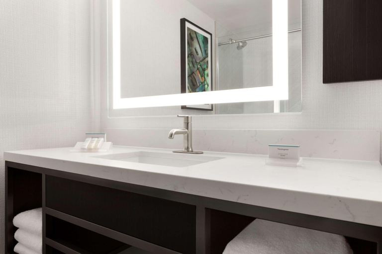 Bathroom 4, Hilton Garden Inn Washington DC Downtown, Washington D.C.