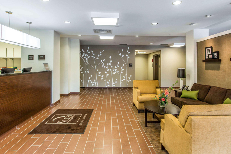 Public Area 2, Sleep Inn & Suites Dayton South, Rhea