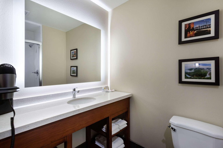 Bathroom 4, Comfort Suites Bowling Green Area, Warren