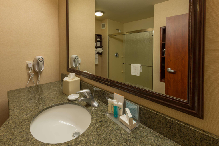 Bathroom 4, Hampton Inn & Suites - Air Force Academy I25 N, El Paso