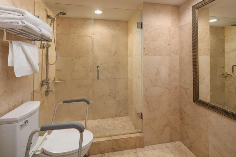 Bathroom 5, The Grand Biscayne Bay, Miami-Dade