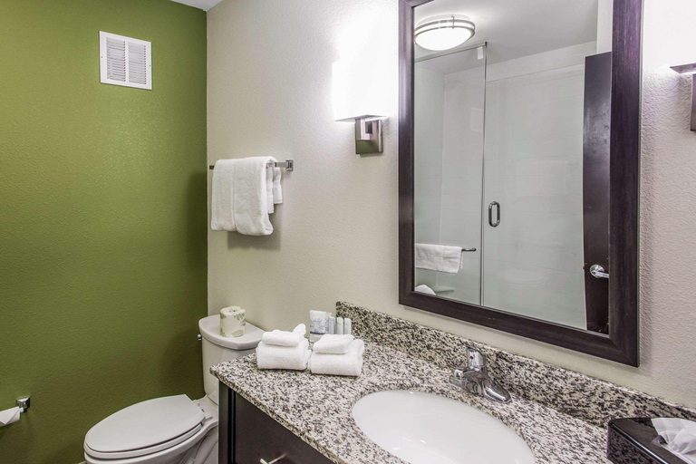 Bathroom 4, Sleep Inn & Suites Dayton South, Rhea