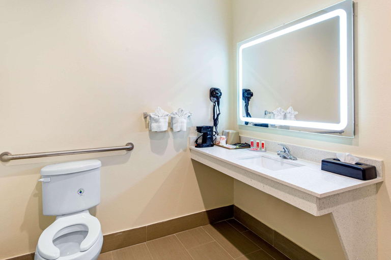 Bathroom 4, Econo Lodge Inn & Suites Houston Willowbrook, Houston