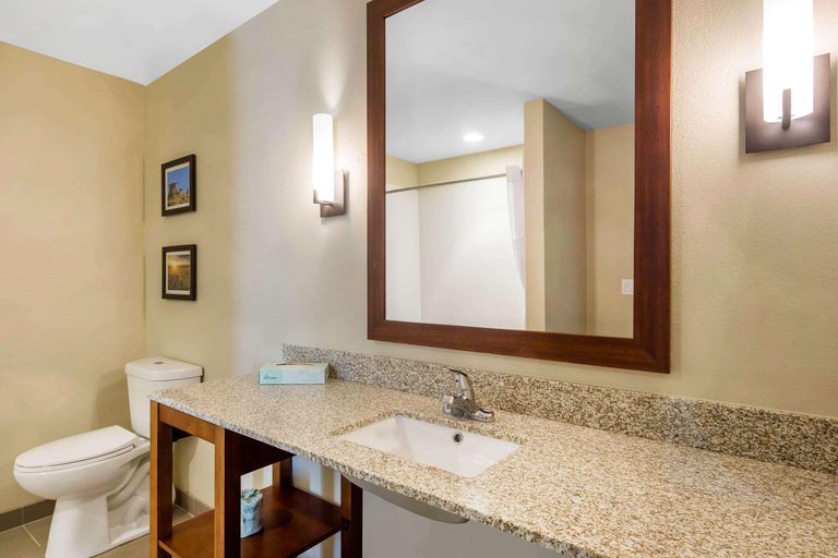 Bathroom 5, Comfort Inn & Suites Edgewood, Santa Fe