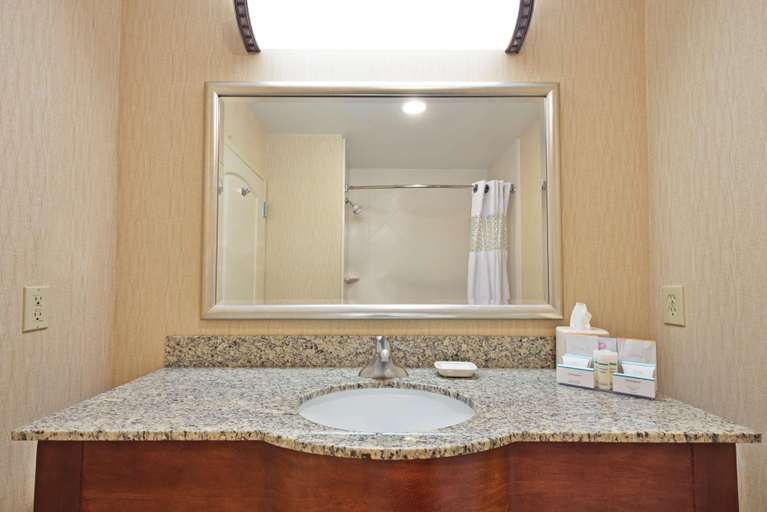 Bathroom 4, Hampton Inn Gainesville-Haymarket, Prince William
