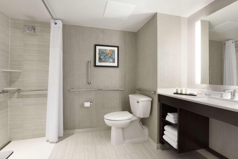 Bathroom 5, Embassy Suites Chicago Lombard Oak Brook, Dupage