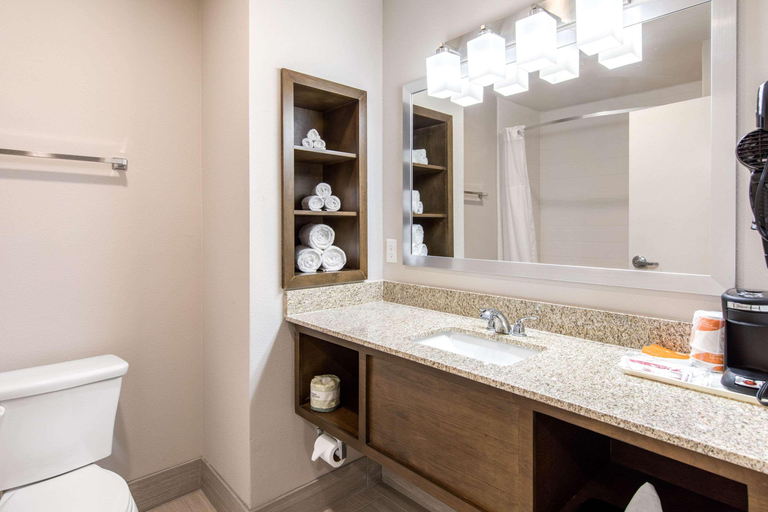 Bathroom 4, Quality Inn & Suites Carlsbad Caverns Area, Eddy