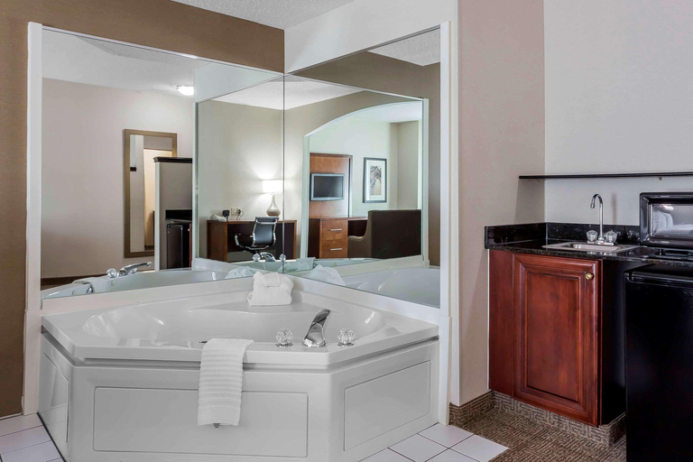 Bathroom 4, Comfort Suites Salisbury I-85, Rowan
