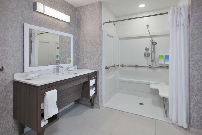 Bathroom 4, Home2 Suites By Hilton Holland, Ottawa