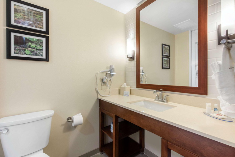 Bathroom 4, Comfort Inn & Suites At CrossPlex Village, Jefferson