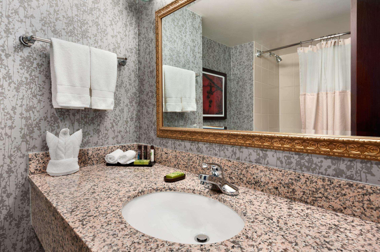 Bathroom 4, Embassy Suites by Hilton Dulles Airport, Fairfax