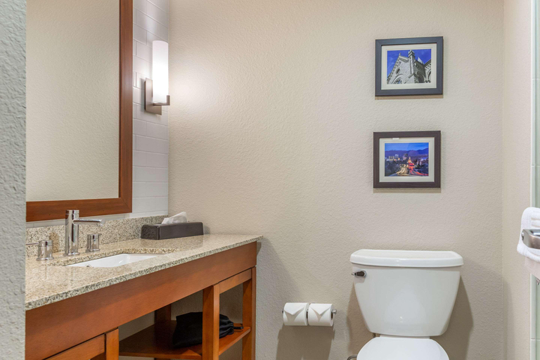 Bathroom 4, Comfort Inn & Suites Boise Airport, Ada