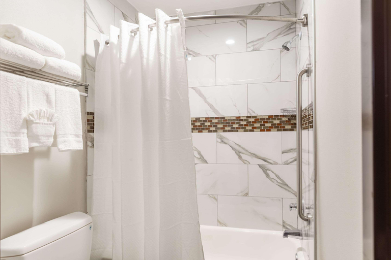 Bathroom 4, Econo Lodge - near Houston Medical Center-NRG Park, Houston