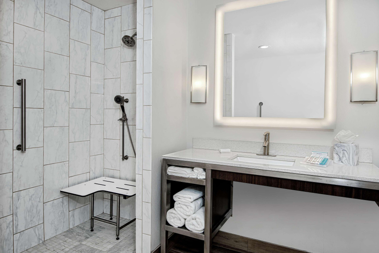Bathroom, Hilton Garden Inn San Marcos, TX, Hays
