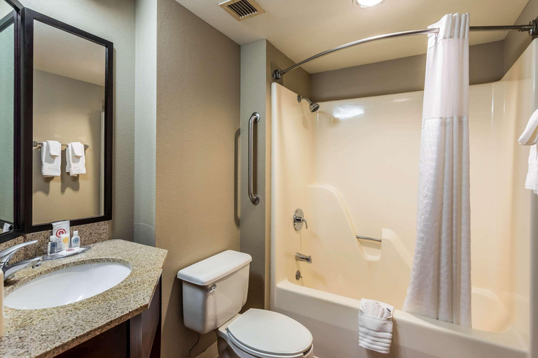 Bathroom 4, Comfort Inn Bellevue, Douglas