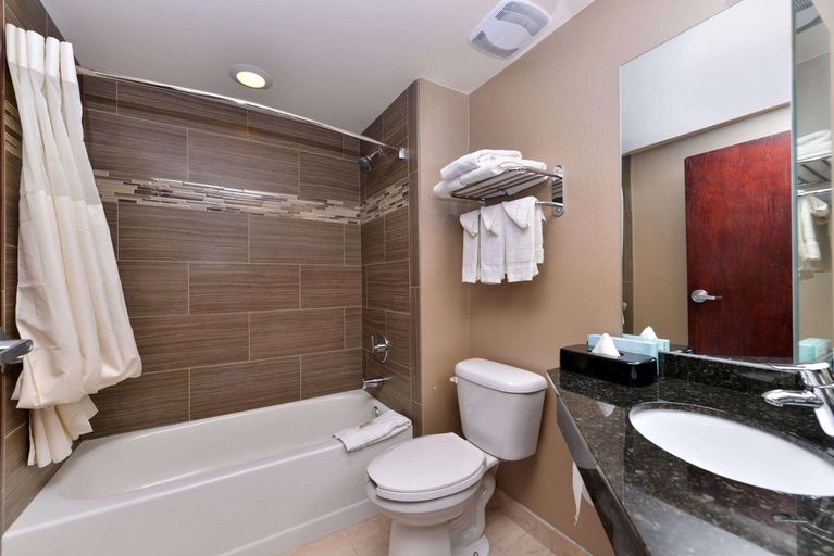 Bathroom 4, Quality Inn & Suites Matteson near I-5, Cook