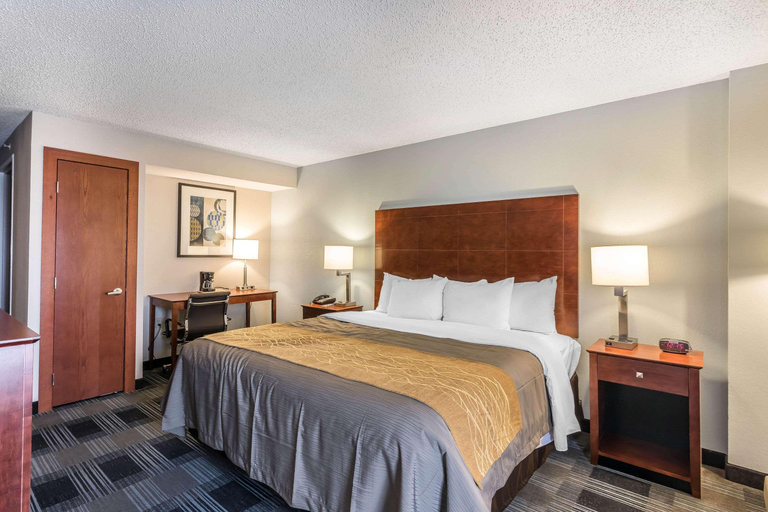 Bedroom 3, Comfort Inn Bellevue, Douglas