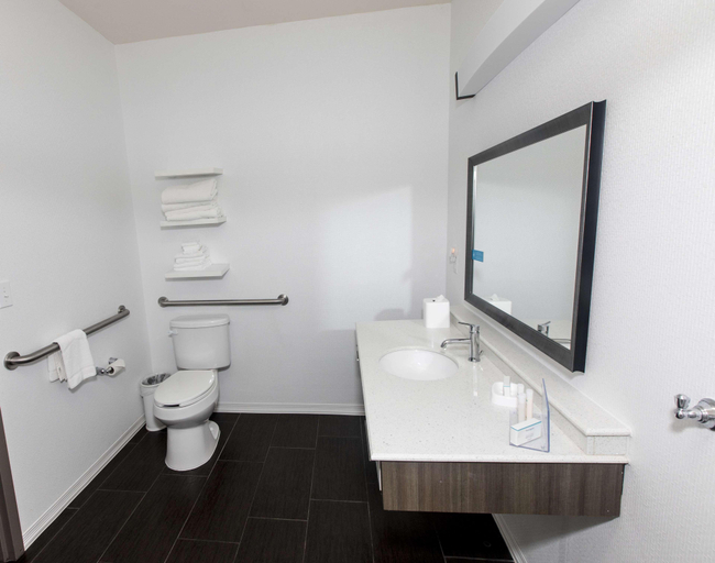 Bathroom 5, Hampton Inn Broussard-Lafayette Area, Lafayette