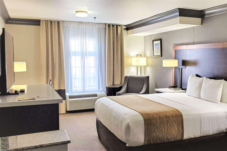 Bedroom 3, Comfort Inn&Suites Universal N. Hollywood Burbank, Los Angeles