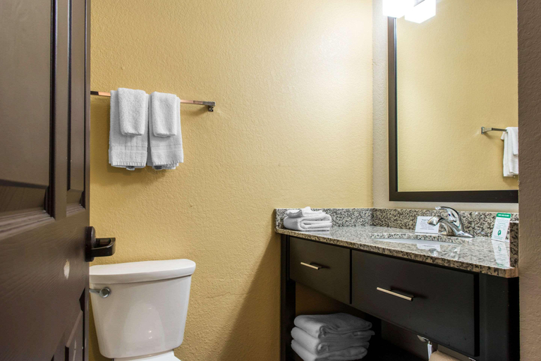 Bathroom 4, Sleep Inn & Suites Pittsburgh, Allegheny