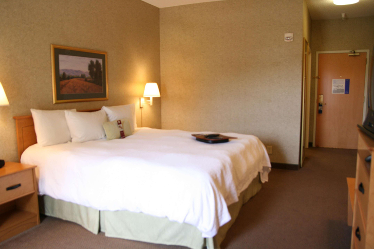 Bedroom 3, Hampton Inn & Suites Kalamazoo-Oshtemo, Kalamazoo