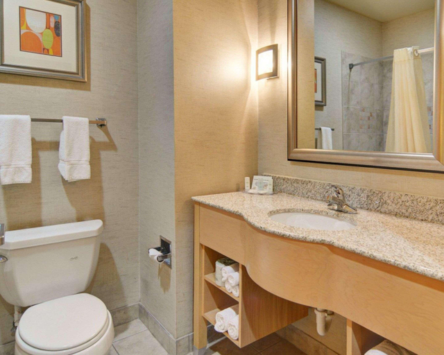 Bathroom 4, Comfort Suites Lindale - Tyler North, Smith