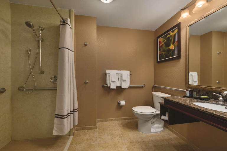 Bathroom 5, Embassy Suites by Hilton Orlando LBV South, Osceola