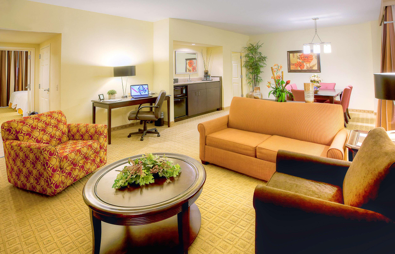 Public Area 2, Embassy Suites by Hilton Laredo, Webb