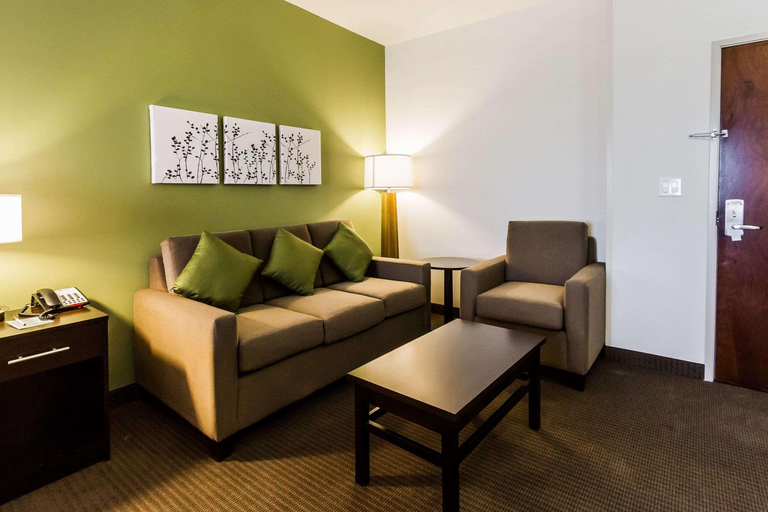 Public Area 2, Sleep Inn And Suites, Ector