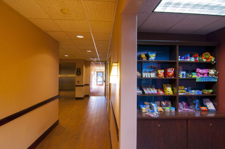 Public Area 2, Hampton Inn & Suites Tampa-North, Hillsborough
