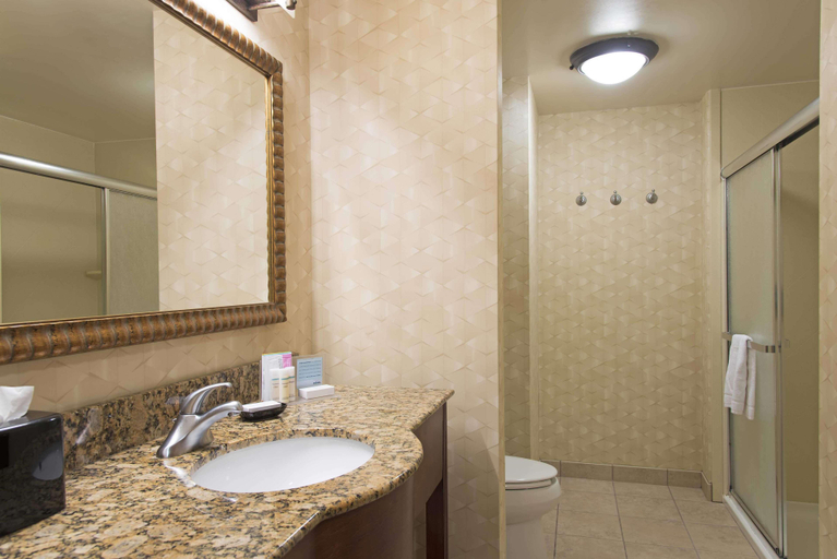 Bathroom 4, Hampton Inn and Suites Indianapolis - Fishers, Hamilton