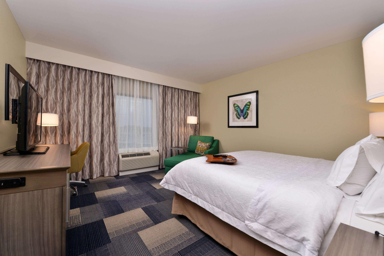 Bedroom 4, Hampton Inn Broussard-Lafayette Area, Lafayette