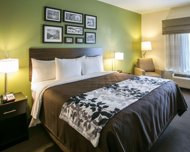 Bedroom 4, Sleep Inn & Suites Round Rock - Austin North, Williamson