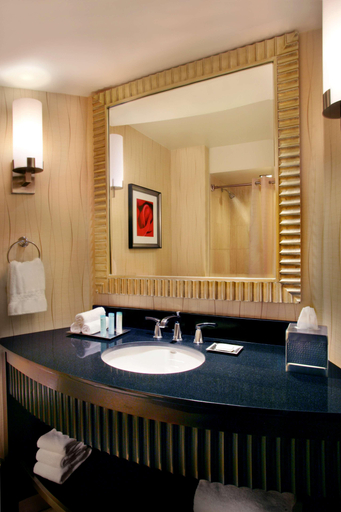 Bathroom 5, Hilton Rosemont/Chicago O'Hare, Cook