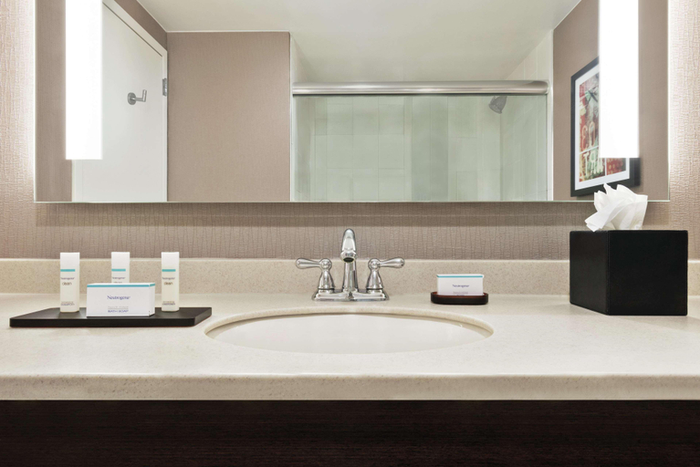 Bathroom 5, Embassy Suites Chicago North Shore Deerfield, Cook