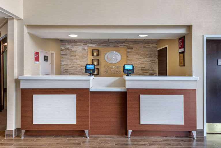 Public Area 2, Comfort Suites Lafayette University Area, Tippecanoe