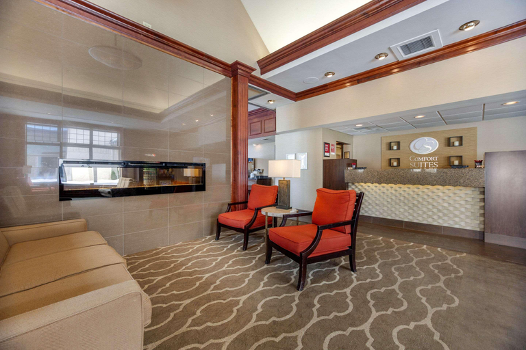 Public Area 3, Comfort Suites Green Bay West, Brown