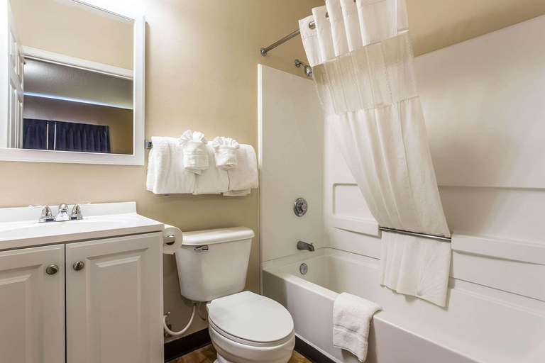 Bathroom 4, Suburban Studios Near UNC Charlotte, Mecklenburg