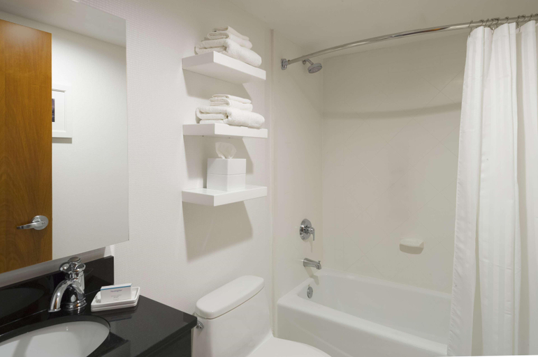 Bathroom 4, Hampton Inn Madison Square Garden Area Hotel, New York