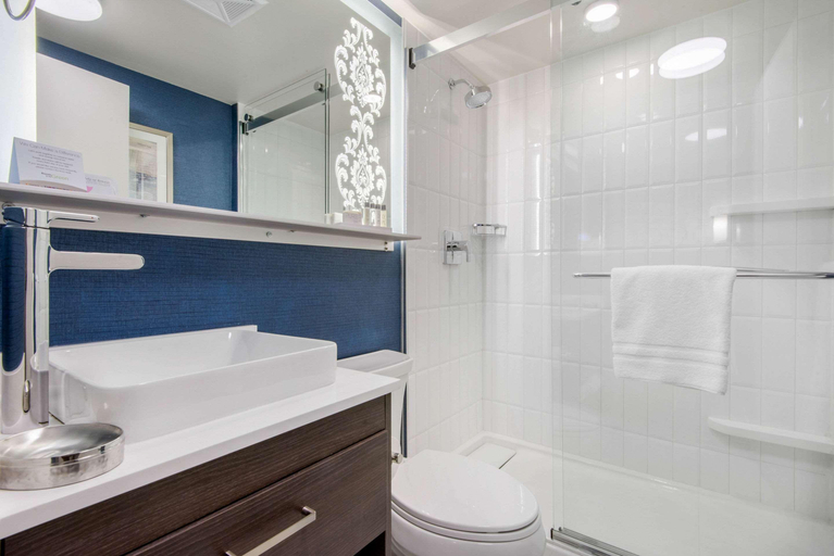 Bathroom 4, Champlain Waterfront Hotel, an Ascend Collection, Simcoe