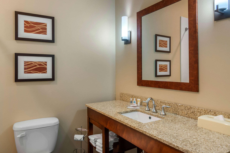 Bathroom 4, Comfort Inn South Chesterfield - Colonial Heights, Chesterfield