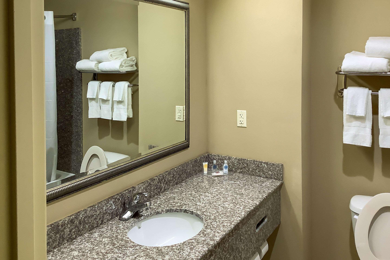 Bathroom, Comfort Inn & Suites High Point - Archdale, Randolph