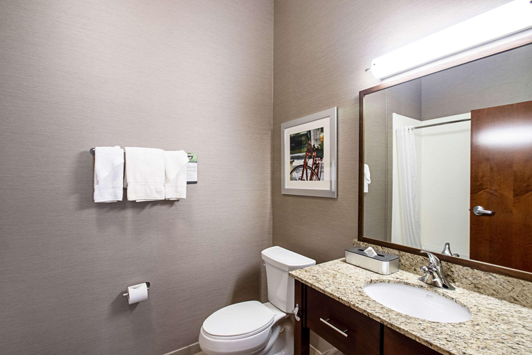 Bathroom 4, Mainstay Suites Madison - Monona, Dane