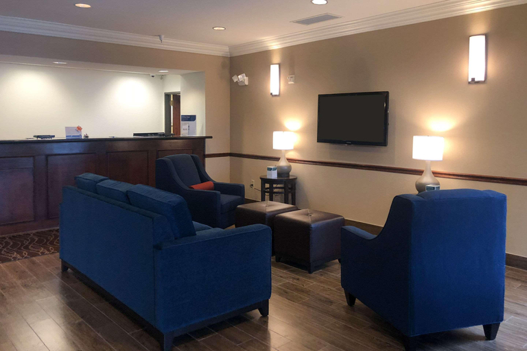 Public Area 2, Comfort Inn Early Brownwood, Brown