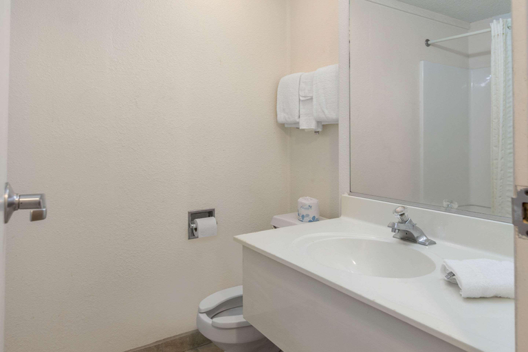 Bathroom 4, Rodeway Inn Auburn Hills, Oakland