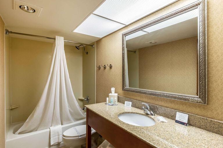 Bathroom 4, Clarion Inn & Suites Central I-44, Tulsa