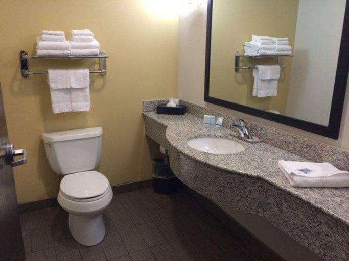 Bathroom 5, Sleep Inn & Suites and Indoor Water Park, Kansas City