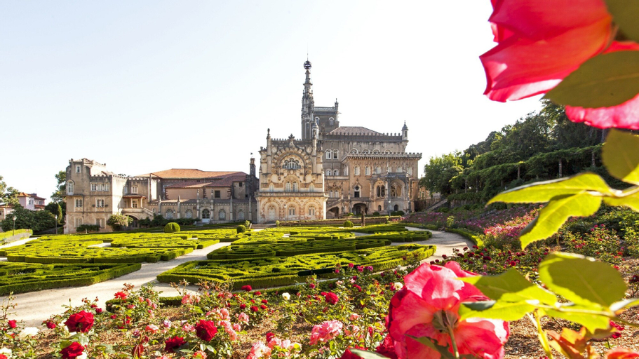 Bussaco Palace Hotel, Mealhada