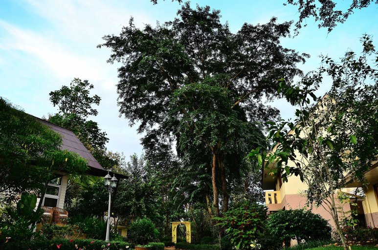 Moosi Yard Hometel Khaoyai, Pak Chong