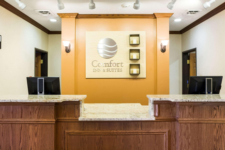 Public Area 2, Comfort Inn & Suites, Custer